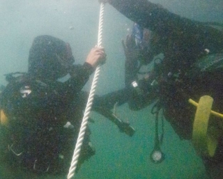  Descenso de buceo en el Golfo de Morbihan 